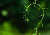 哪些花園改善將為您的房屋增加最大價(jià)值
