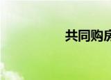 共同購(gòu)房協(xié)議書(shū)怎么寫(xiě)