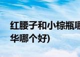 紅腰子和小棕瓶哪個(gè)好(紅腰子和歐萊雅黑精華哪個(gè)好)
