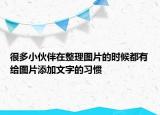 很多小伙伴在整理圖片的時(shí)候都有給圖片添加文字的習(xí)慣