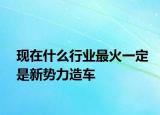 現(xiàn)在什么行業(yè)最火一定是新勢(shì)力造車(chē)