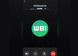 WhatsApp正在桌面測(cè)試兩步驗(yàn)證語(yǔ)音通話(huà)的聊天壁紙