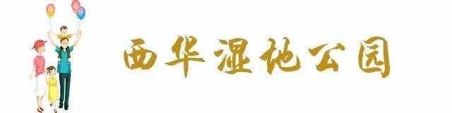 超全！昆明32個最適合一日游的免費景點，夠你任性玩一年！