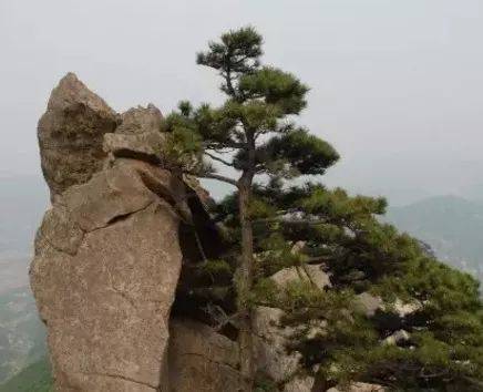 玩遍大連丨不負(fù)好春光，普蘭店游玩線路最新出爐！逐一打卡去~