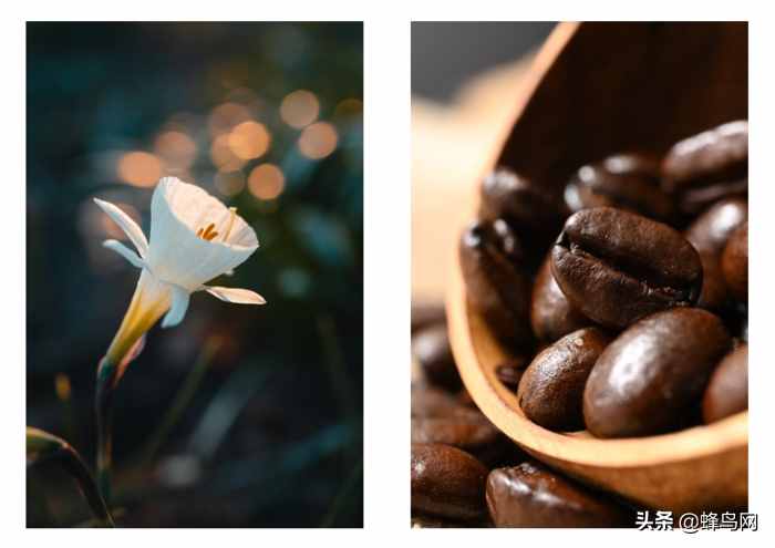 更高畫(huà)質(zhì)的微距體驗(yàn) 尼康Z50mm、105mm微距開(kāi)發(fā)者訪(fǎng)談