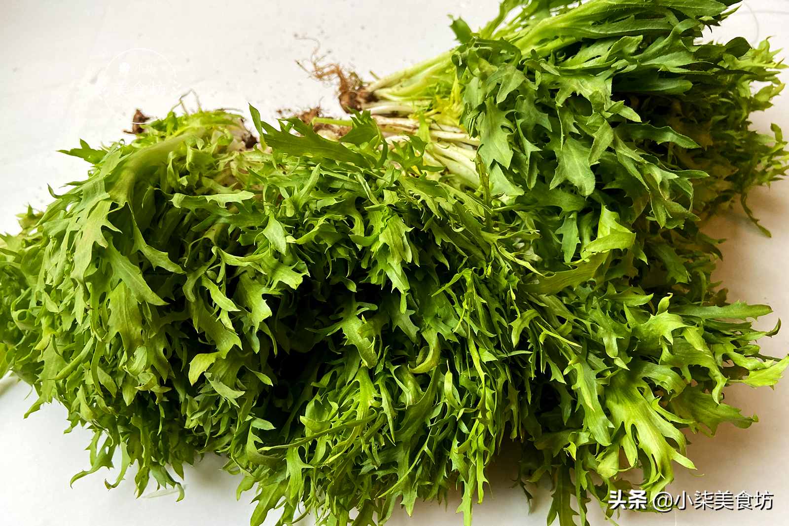 自從苦菊學(xué)會(huì)這樣做，我家隔三差五就吃，營養(yǎng)減肥菜，做法超簡單