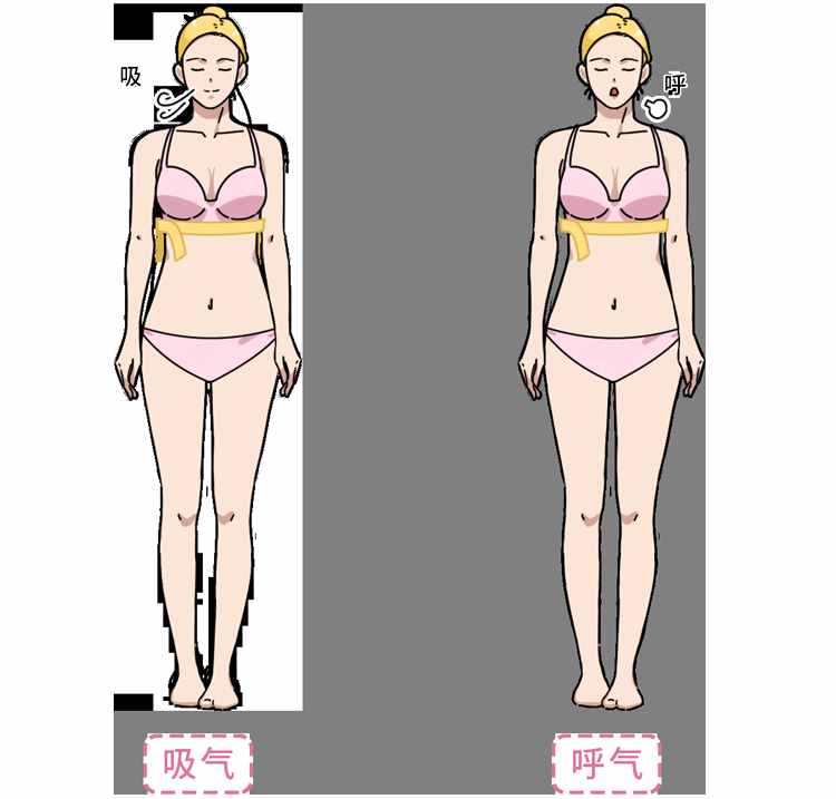 女性如何正確計算自己是什么“杯”？不同“杯”有什么區(qū)別？