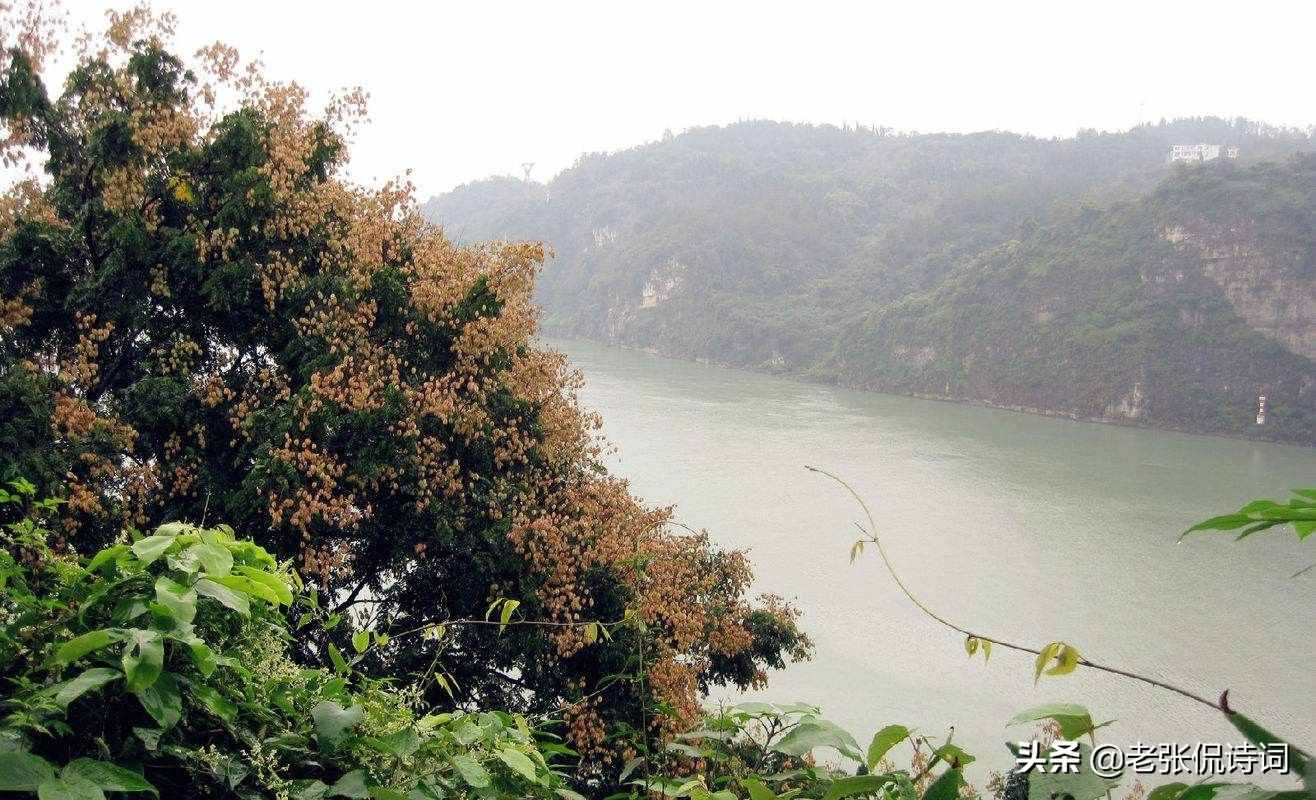 我們都會背經(jīng)典唐詩，“渚清沙白鳥飛回”，“渚清沙白”啥意思