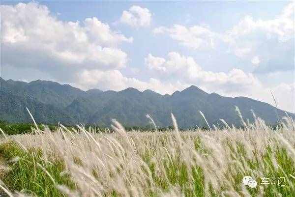 從化響水峽，艷遇浪漫茹根花海