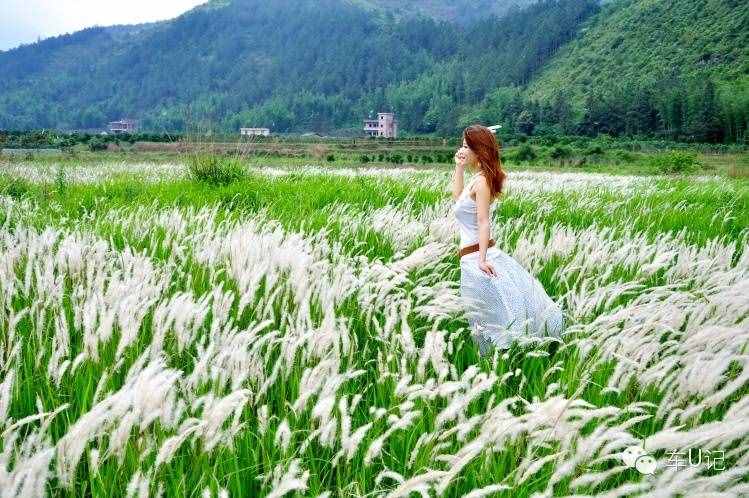 從化響水峽，艷遇浪漫茹根花海