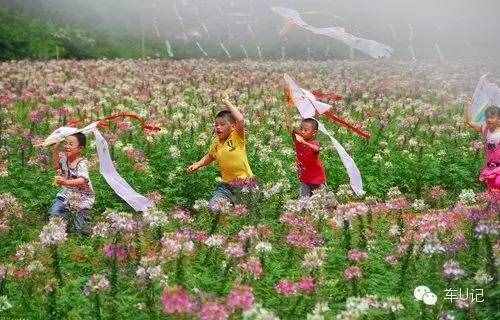 從化響水峽，艷遇浪漫茹根花海