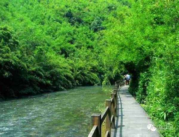 從化響水峽，艷遇浪漫茹根花海