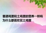 普通雞蛋和土雞蛋的營(yíng)養(yǎng)一樣嗎 為什么都喜歡買(mǎi)土雞蛋