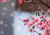今日更新同位語從句和定語從句的區(qū)別（同位語從句和定語從句的區(qū)別）