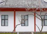 今日更新玄武湖導游詞（南京玄武湖公園櫻洲·櫻花語）