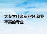 大專學(xué)什么專業(yè)好 就業(yè)率高的專業(yè)