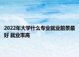 2022年大學(xué)什么專業(yè)就業(yè)前景最好 就業(yè)率高