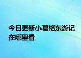 今日更新小葛格東游記在哪里看