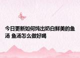 今日更新如何燉出奶白鮮美的魚(yú)湯 魚(yú)湯怎么做好喝