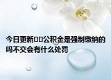 今日更新??公積金是強(qiáng)制繳納的嗎不交會(huì)有什么處罰