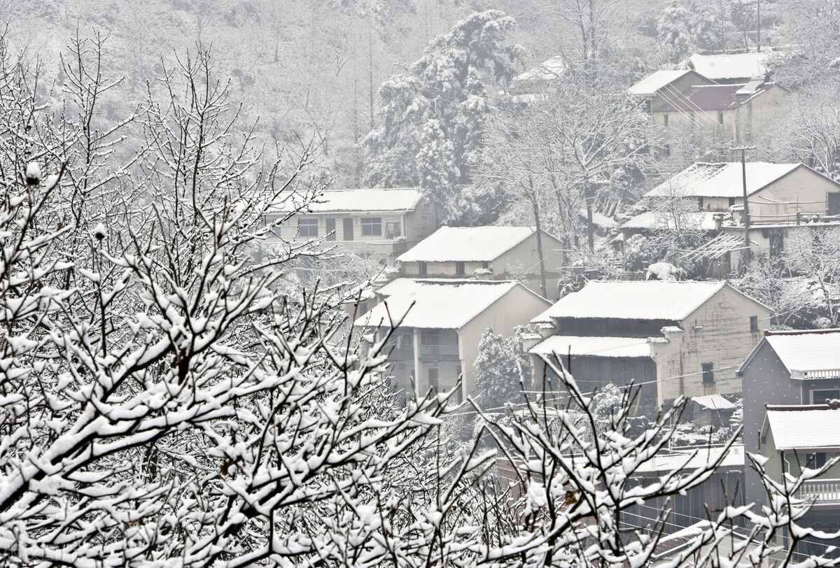 正值臘月，農(nóng)村俗語“臘月雪打雷，正月黃土堆”，說的啥意思呢？