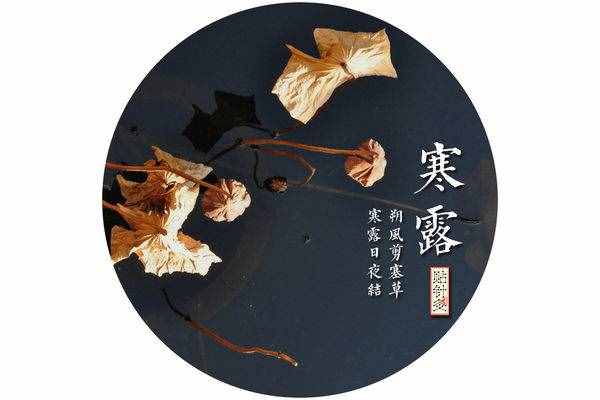 二十四節(jié)氣之寒露