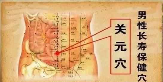 每日一穴：關(guān)元穴