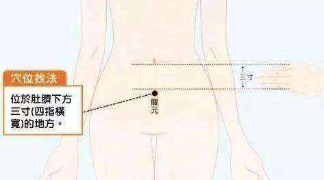 每日一穴：關(guān)元穴