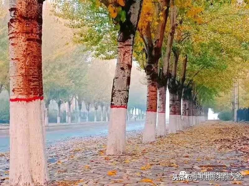 攝影賞析：看完這9幅作品，你也可以拍出這樣美的好片！