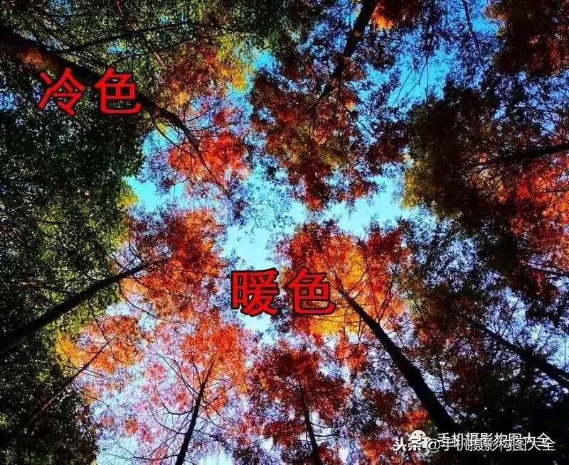 攝影賞析：看完這9幅作品，你也可以拍出這樣美的好片！