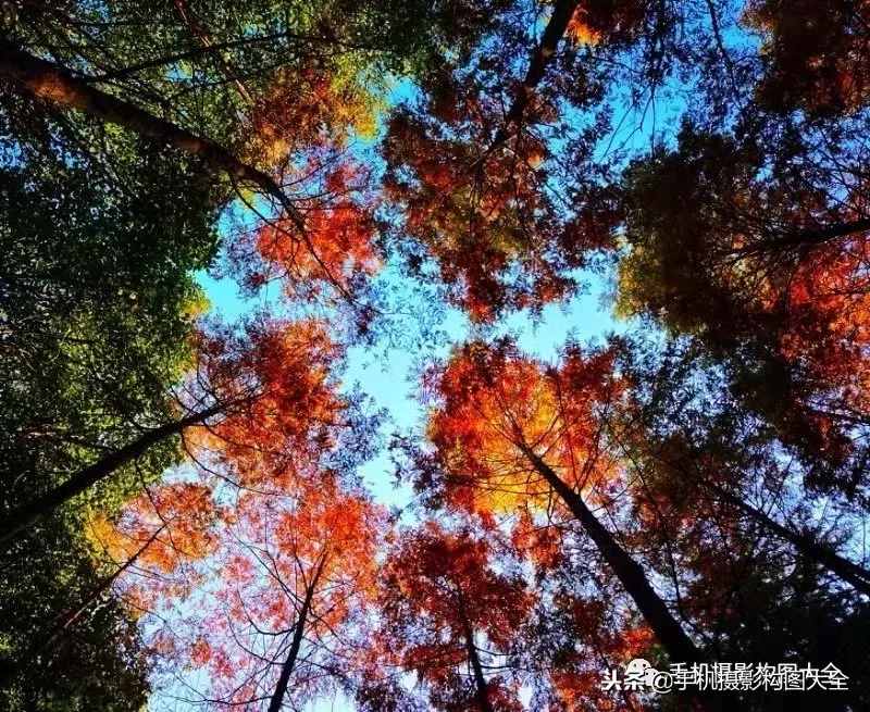 攝影賞析：看完這9幅作品，你也可以拍出這樣美的好片！