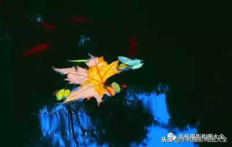 攝影賞析：看完這9幅作品，你也可以拍出這樣美的好片！