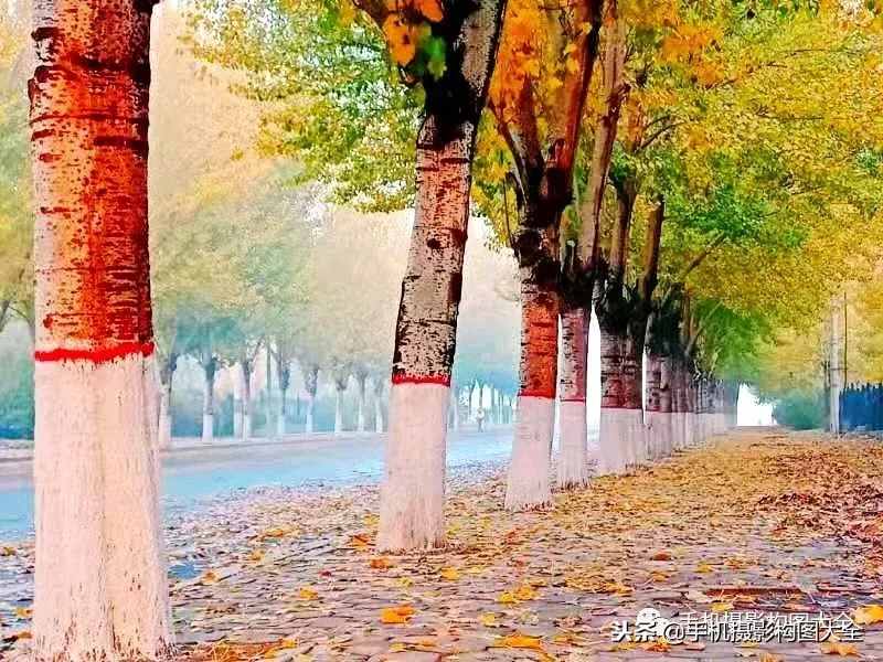 攝影賞析：看完這9幅作品，你也可以拍出這樣美的好片！