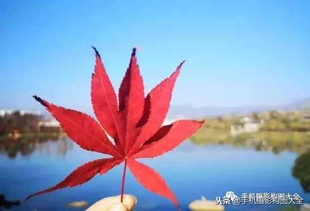 攝影賞析：看完這9幅作品，你也可以拍出這樣美的好片！
