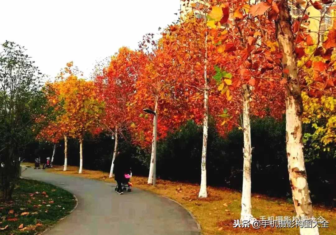 攝影賞析：看完這9幅作品，你也可以拍出這樣美的好片！
