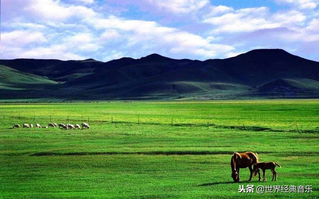 56首草原歌曲，太好聽了，不多說(shuō)，先收藏了！