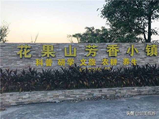 廣東花都美林湖花果山景區(qū)國(guó)慶前開(kāi)放，漫山花海成普羅旺斯