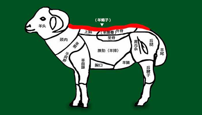 羊蝎子到底是什么，為啥叫羊蝎子，味道好吃嗎？漲知識(shí)了