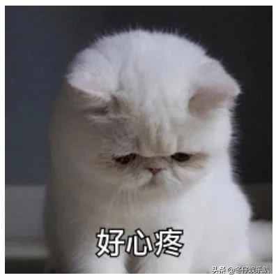 11年前大火的《蝸居》為何被禁播？看完緣由真佩服，這劇可真敢拍