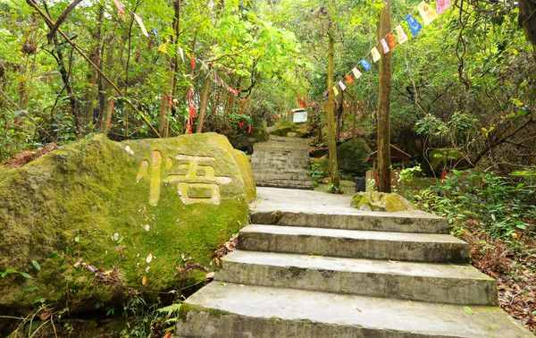 中山市逍遙谷里并不逍遙，誰去誰知道