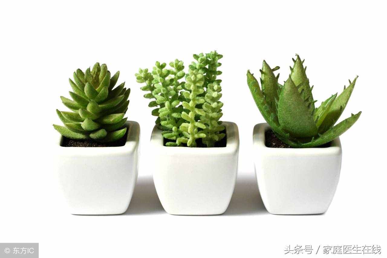 這4種食物是眼睛的“救星”，每天吃一點(diǎn)，輕松緩解眼睛干澀