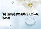 今日更新海爾電視叫什么口令喚醒語音