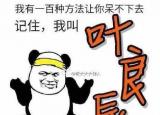 今日更新葉良辰是什么梗（葉良辰）