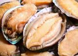 今日更新鮑魚怎么做最簡(jiǎn)便最好吃呢（新鮮鮑魚5種最好吃的做法）