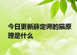 今日更新薛定諤的貓?jiān)硎鞘裁? /></span></a>
                        <h2><a href=