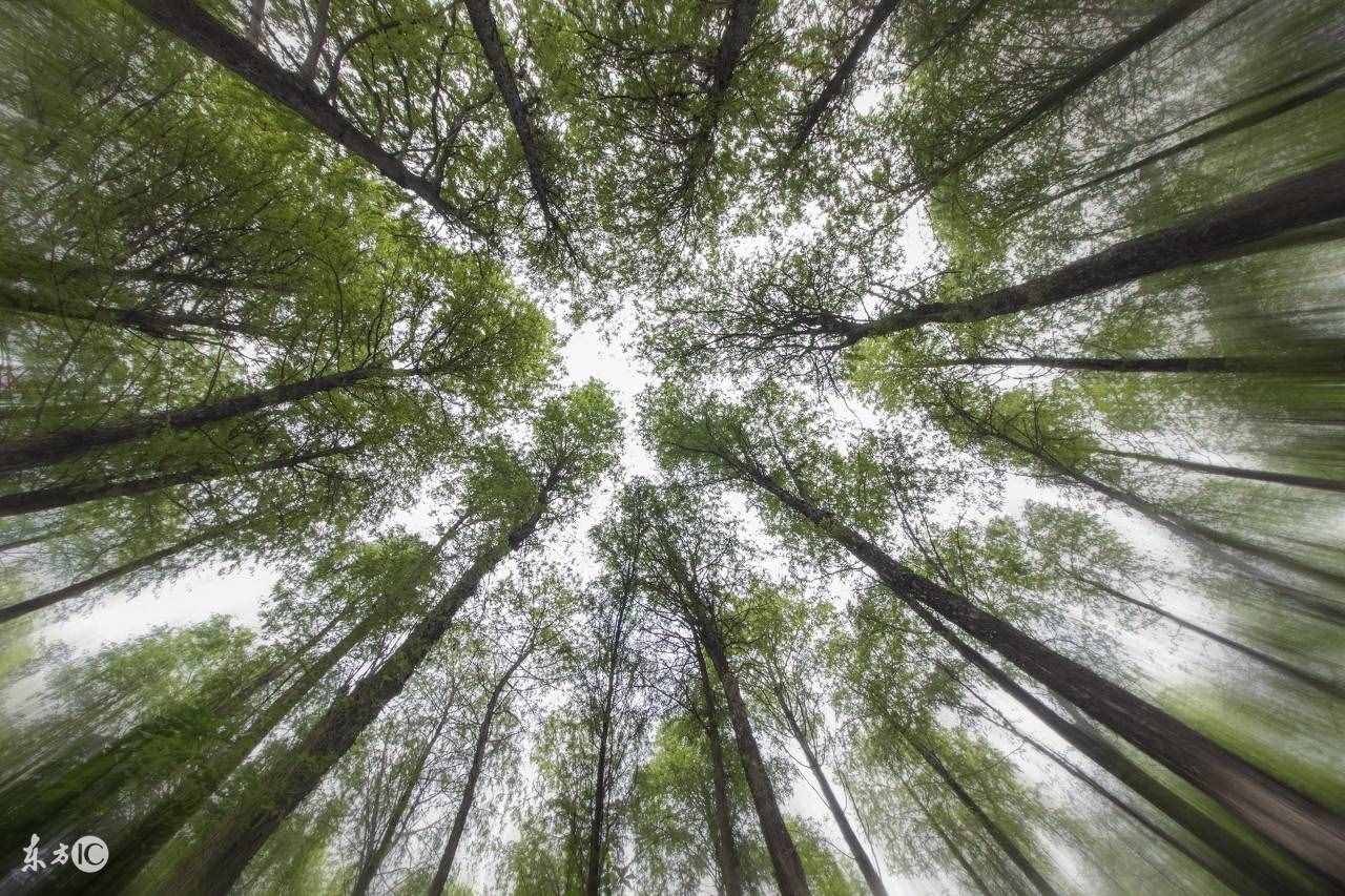 轉正申請怎么寫？推薦幾篇接地氣的 以后用得著