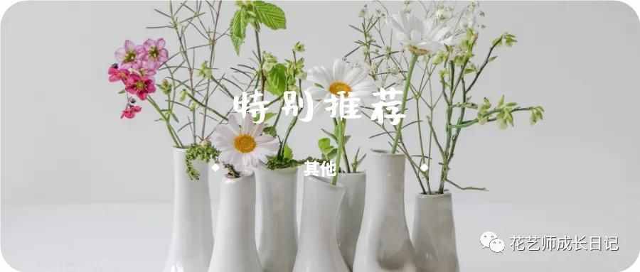 特別推薦 