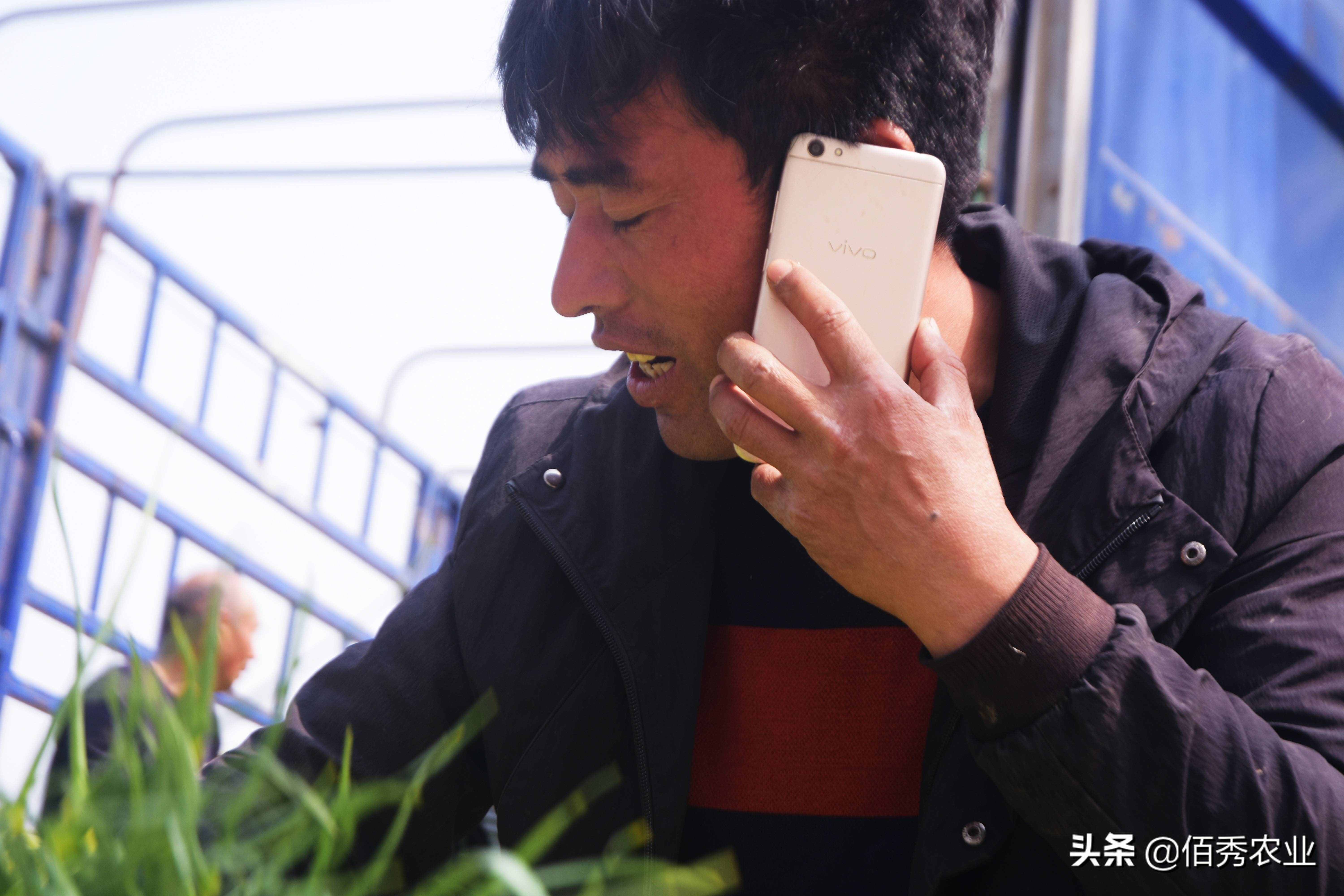 打工苦種田累，在農(nóng)村有沒有看似不起眼，但利潤很高的小生意？