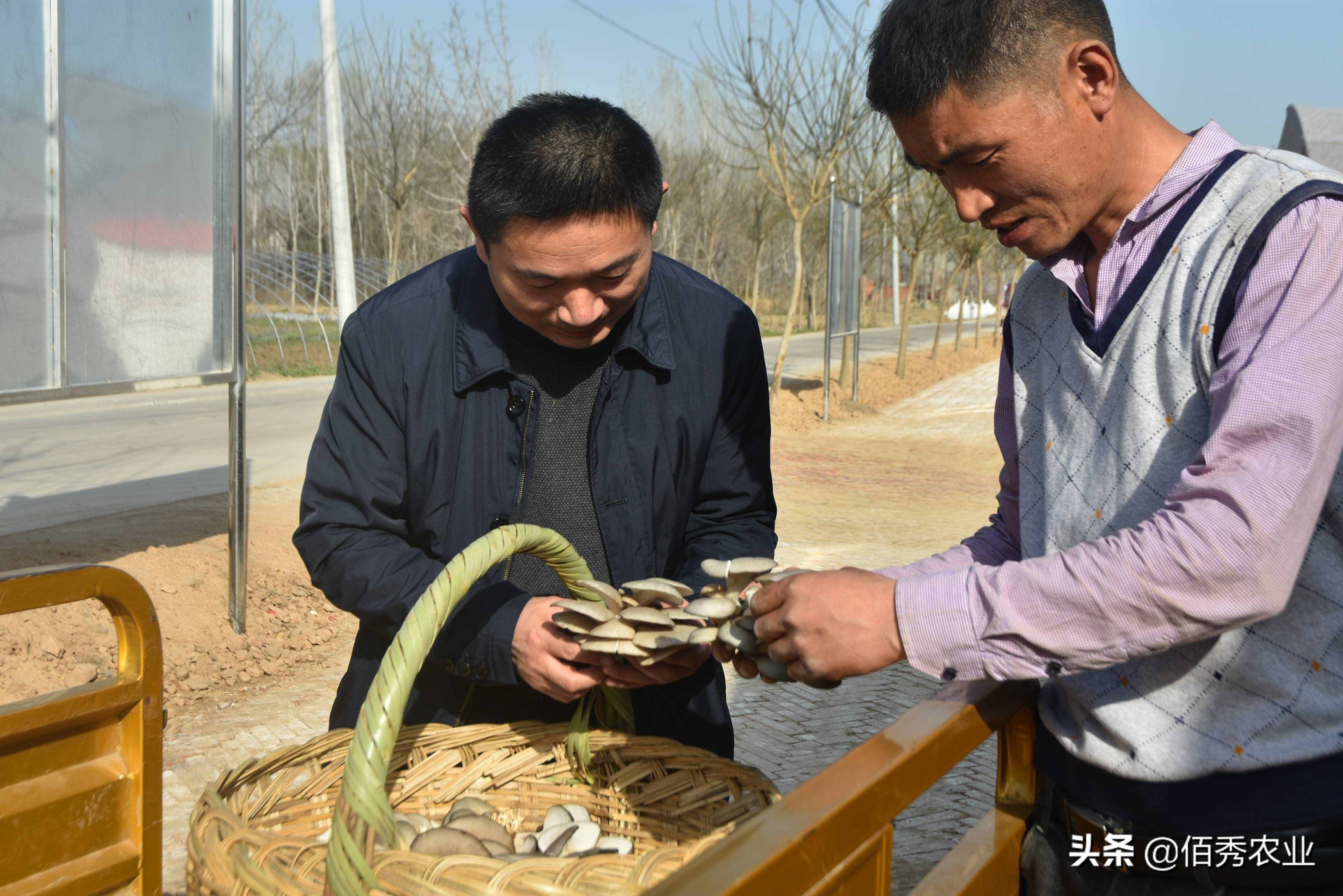 打工苦種田累，在農(nóng)村有沒有看似不起眼，但利潤很高的小生意？