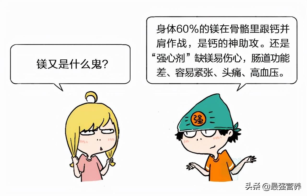 補鈣鐵鋅的10佳食物排行榜，吃什么能食補看這篇就夠了